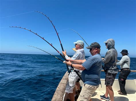 royal star sportfishing|intrepid sportfishing.